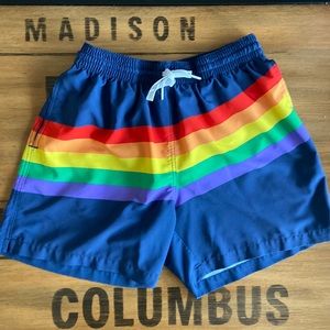 Chubbies Lined Rainbow Swim Shorts